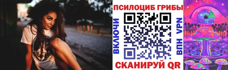 цены мега онион площадка какой сайт Динская Галлюциногенные грибы Cubensis